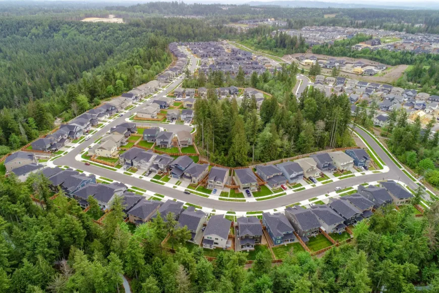 Aerial view of a suburban housing development with curving streets and rows of modern homes bordered by dense evergreen forest.