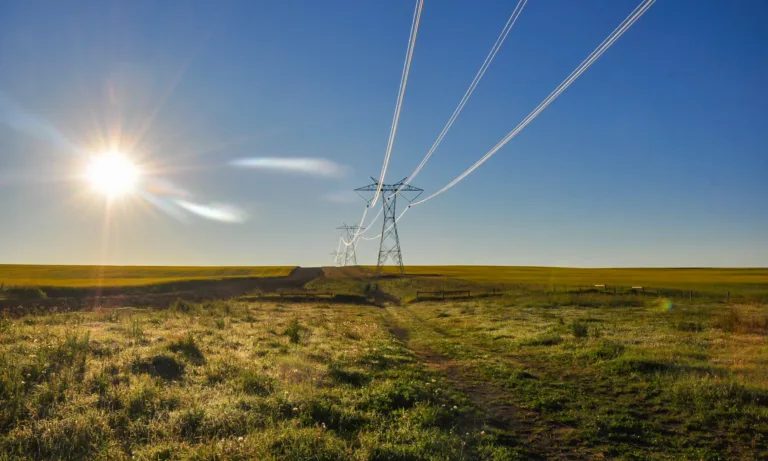 High-voltage transmission towers and lines span a grassy rural plain beneath a bright, low sun and a clear blue sky.