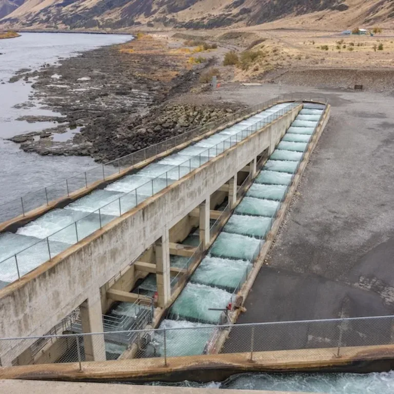 Fish ladder carrying water alongside a dam, with a mountain lake and rocky shoreline in the background