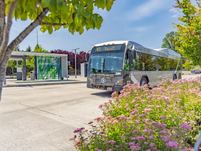 A silver C-TRAN bus displaying Route 47 “Yacolt” pulls into a leafy transit center with a glass shelter and pink flowers on a sunny day.