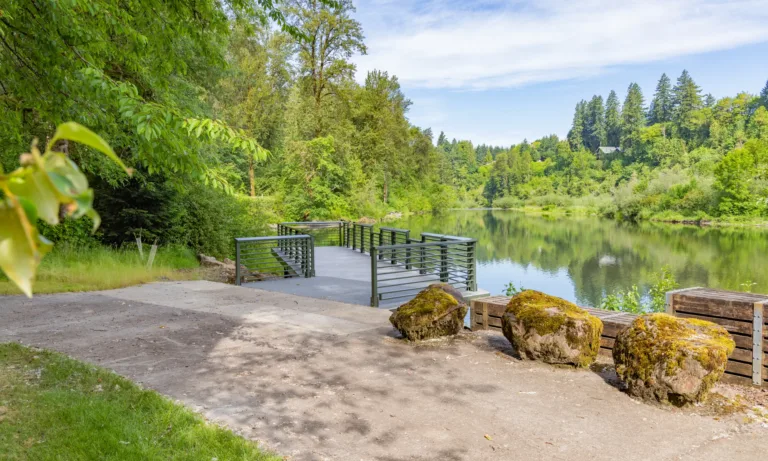 Metal-railed viewing platform extending over a calm river in a lush forest, with moss-covered boulders and benches along a paved path under a blue sky.