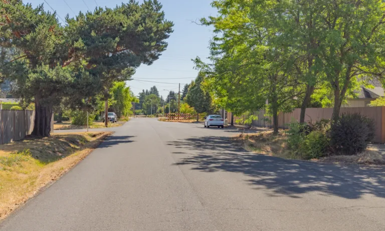 Quiet residential street lined with large trees and wooden fences, with a few parked cars and roadwork barricades in the distance on a sunny day.