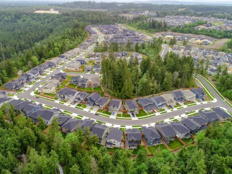 Aerial view of a sprawling suburban neighborhood with curving streets and rows of single-family homes bordered by dense evergreen forest, including sections under construction.