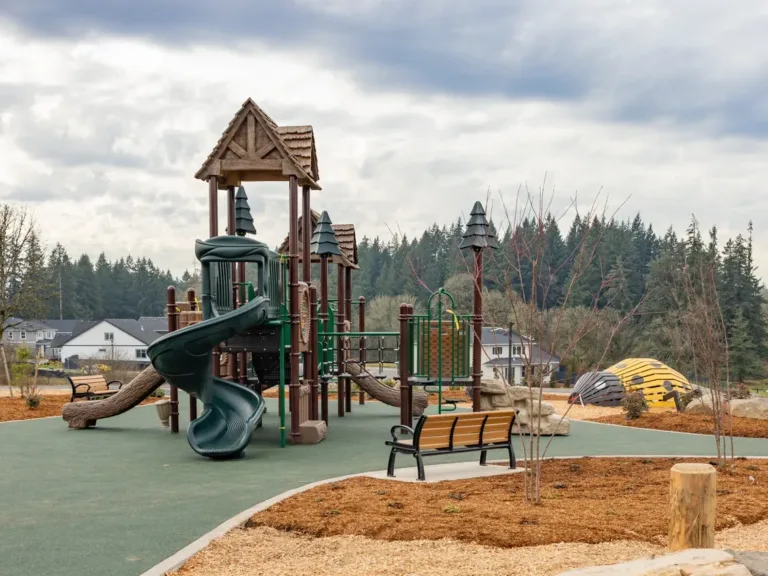 Storybrook Hollow park play structure and surrounding area