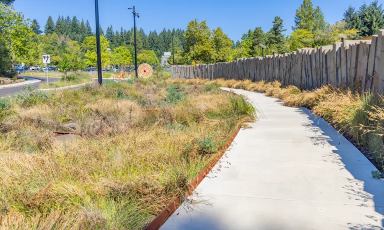 Curving concrete walkway bordered by native grasses and a tall, jagged wooden fence, with trees, a road, and a clear blue sky in the background.
