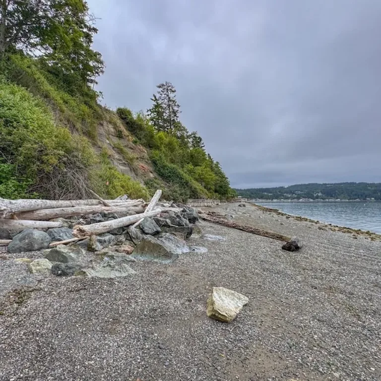 Rocky shoreline with driftwood beneath a forested bluff, overlooking calm water under an overcast sky