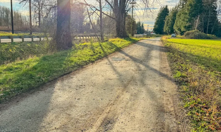 Sunlit gravel path beside a road, with leafless trees, green grass, utility poles, and a distant car