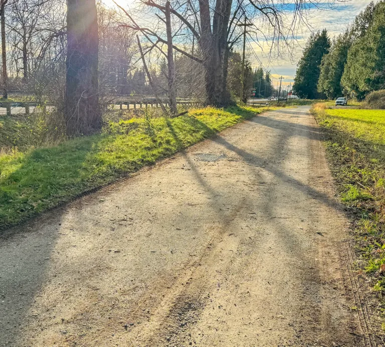 Sunlit gravel path beside a road, with leafless trees, green grass, utility poles, and a distant car