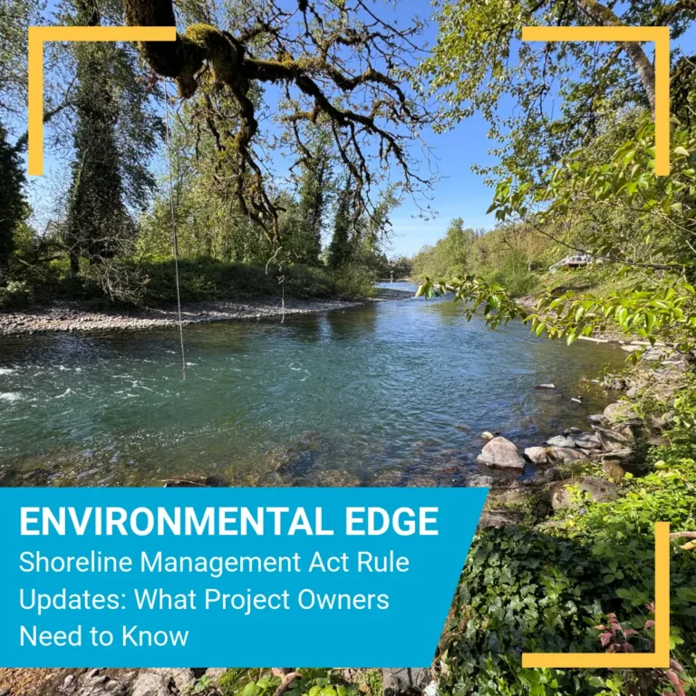 Environmental Edge photo or riverbank