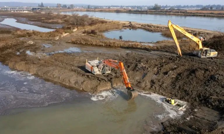 Excavators work in muddy wetlands beside a river, restoring channels and clearing debris