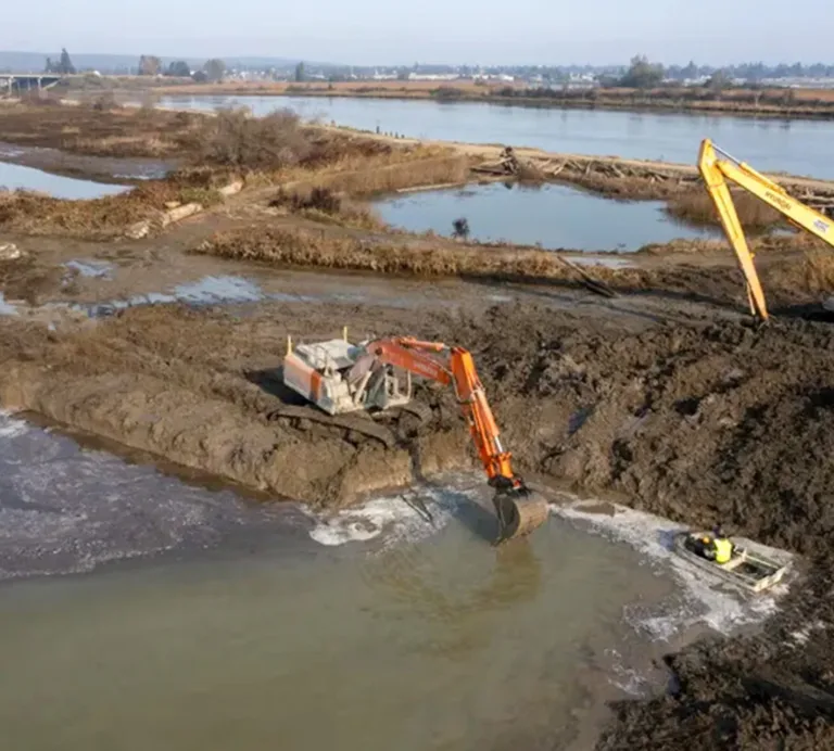 Excavators work in muddy wetlands beside a river, restoring channels and clearing debris