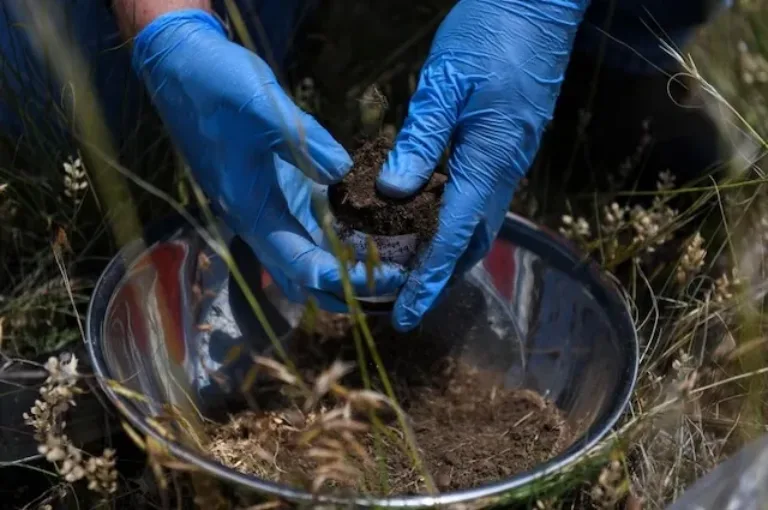 Gloved hands hold a small soil-filled plant pot over a metal bowl during outdoor planting
