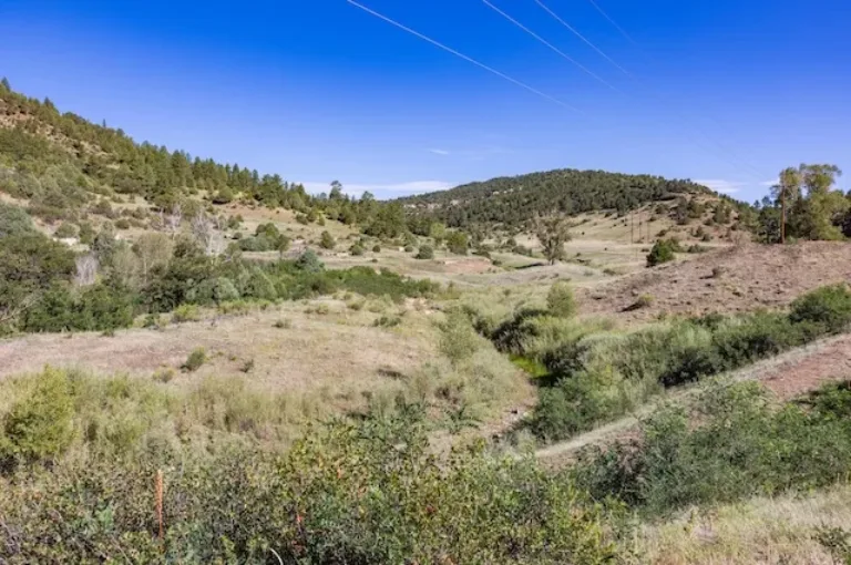 Dry rolling hills and scrubland with scattered trees, a dirt path, and utility lines beneath a clear blue sky